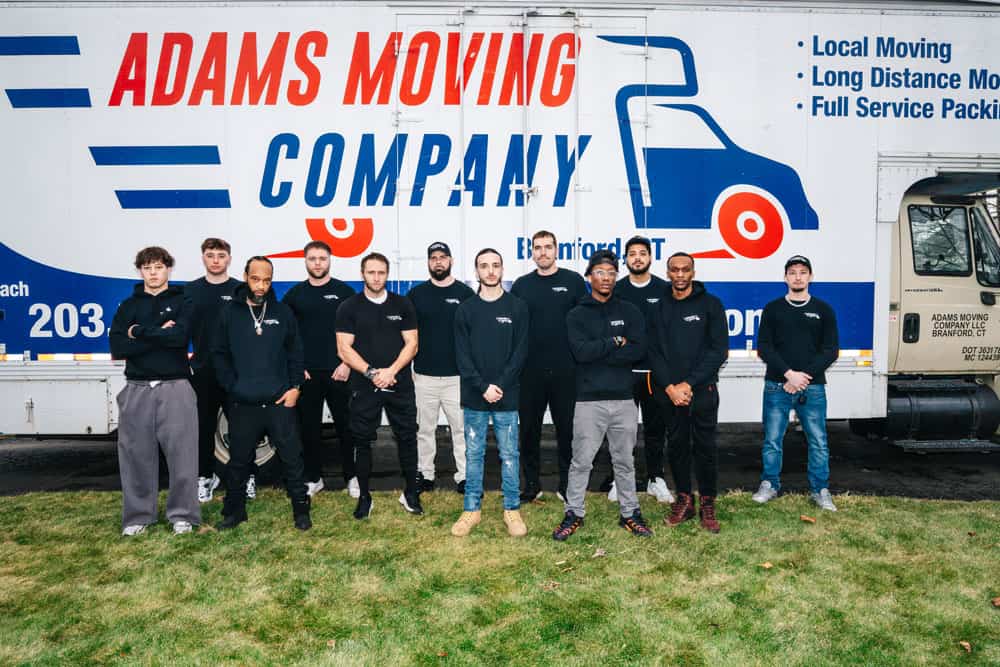 our team